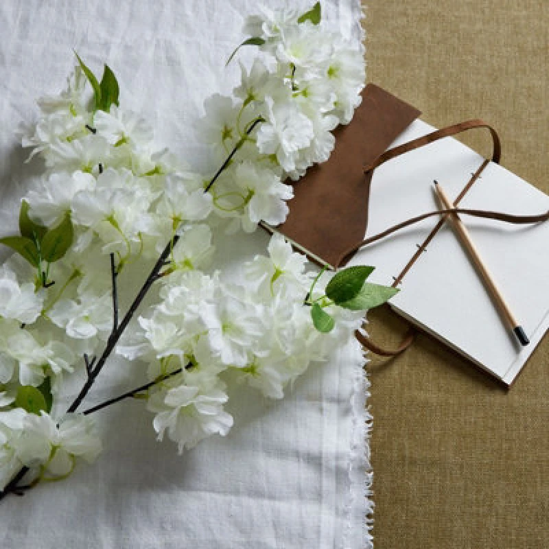 Image of Large White Full Cherry Blossom Stem