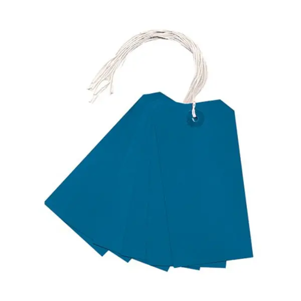 Image of Unbranded Strung Tag 120x60mm Blue (Pack of 1000) KF01625 5MSCL-Blue