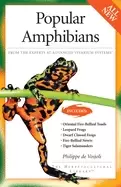 Image of popular amphibians from the experts at advanced vivarium systems fire belli