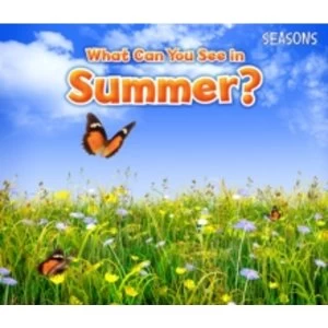 Image of What Can You See In Summer? by Sian Smith (Paperback, 2015)
