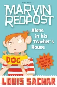 Image of Alone in His Teacher's House