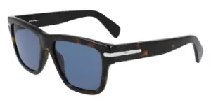 image of Salvatore Ferragamo Sunglasses SF 1014S 219