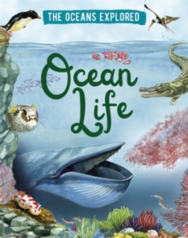 Image of Claudia Martin The Oceans Explored: Ocean Life Book Multi unisex