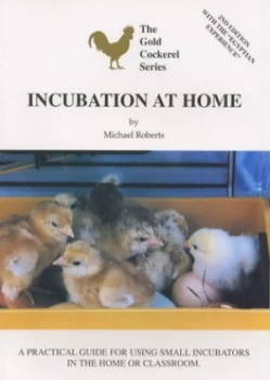 Image of Incubation at Home by Sara Roadnight Paperback