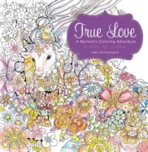 Image of true love a romantic coloring adventure