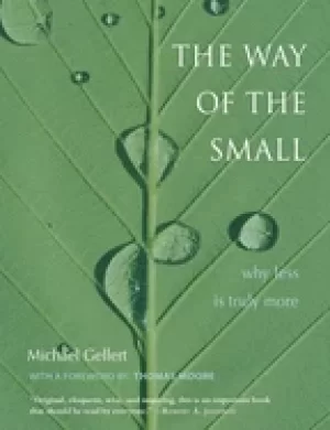 Image of way of the small why less is more