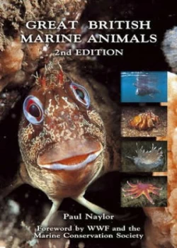 Image of Great British Marine Animals by Paul Naylor Paperback