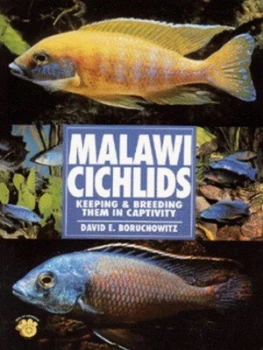 Image of Malawi Cichlids Paperback