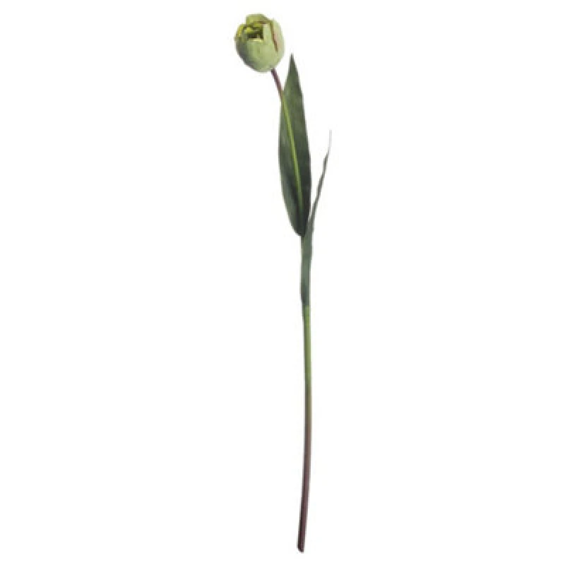 Image of Hill Interiors Artificial Green Tulip Plant Green (One Size)