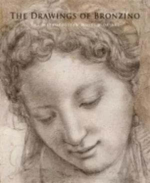 Image of drawings of bronzino
