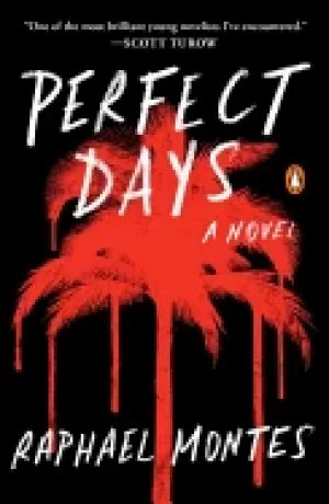 Image of perfect days a novel
