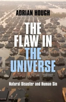 Image of The Flaw in the Universe by Adrian Michael Hough Paperback