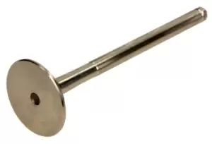 Image of AMP Exhaust Valve Exhaust Side PREN002-A-0-D RENAULT,NISSAN,DACIA,CLIO II (BB0/1/2_, CB0/1/2_),KANGOO (KC0/1_),KANGOO / GRAND KANGOO (KW0/1_)