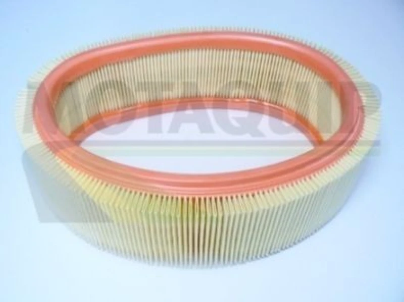 Image of MOTAQUIP Air filter MOTAQUIP VFA19