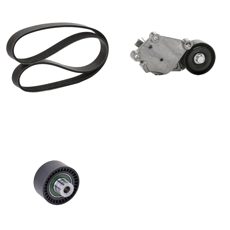 Image of goCORE GCE420011 V-ribbed belt set V-Ribbed Belt Set (542)