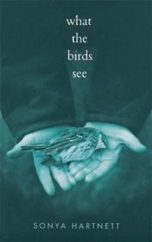 Image of What the Birds See by Sonya Hartnett Book