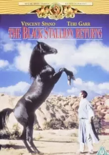 image of The Black Stallion Returns