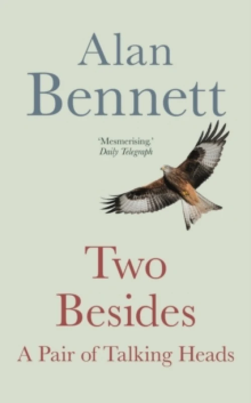 Image of Two Besides : A Pair of Talking Heads Paperback / softback