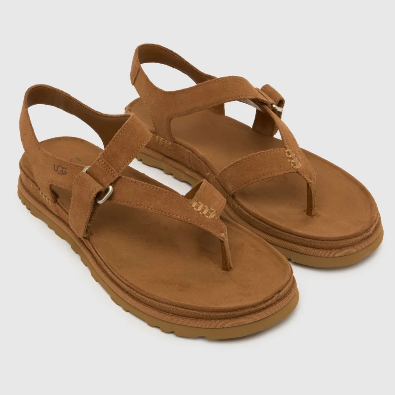 Image of UGG Goldengaze Toe Post Sandals in Chestnut Chestnut UK 3 (EU 36)