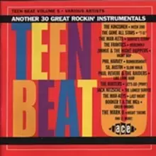 Image of Teen Beat Vol. 5