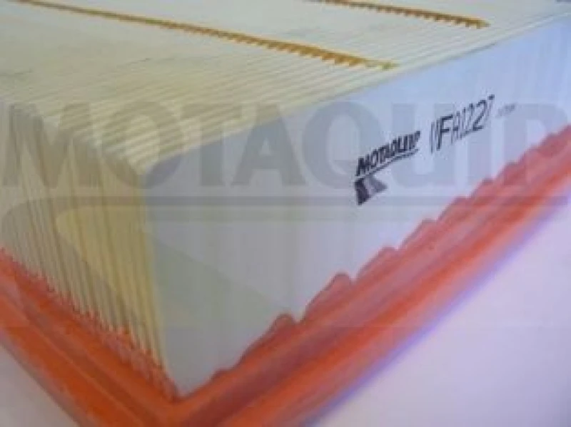 Image of MOTAQUIP Air filter MOTAQUIP VFA1227