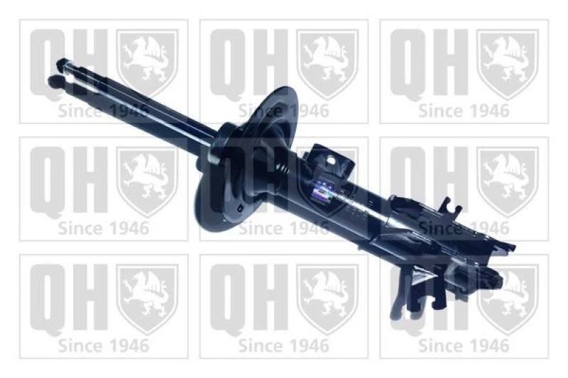 Image of QUINTON HAZELL Shock absorber QUINTON HAZELL QAG181309