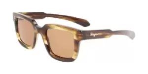 image of Salvatore Ferragamo Sunglasses SF 1064S 319