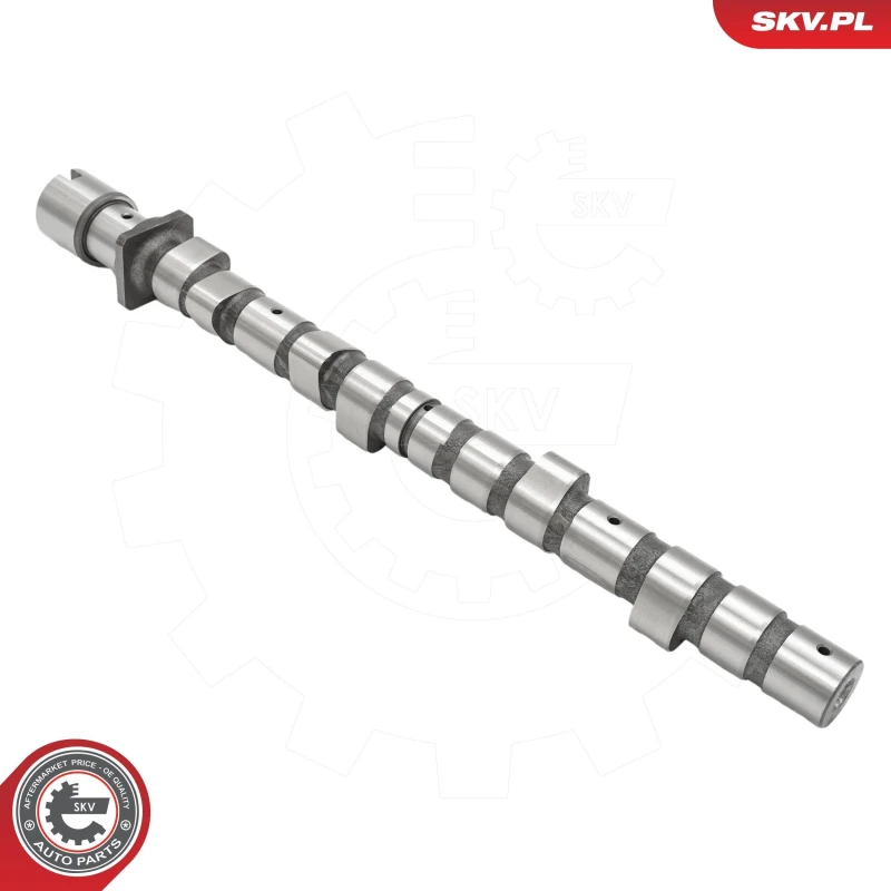 Image of ESEN SKV Camshaft ESEN SKV 80SKV019
