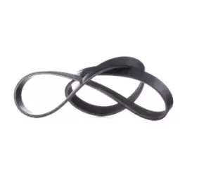Image of RIDEX V-ribbed belt BMW,OPEL,FORD 305P0176 11287507626,11287636374,55556404 12634319,12639468,5750P8,6453AC,6453AE,6453CY,6453TV,96126957,96155380