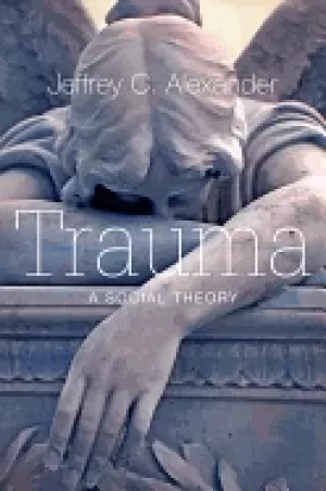 Image of trauma a social theory