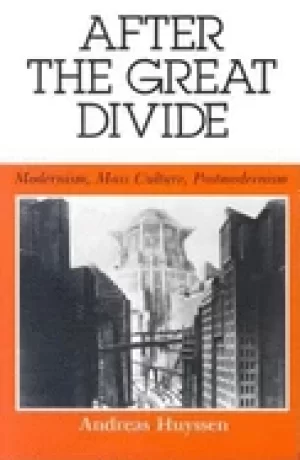 Image of after the great divide modernism mass culture p