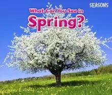Image of What Can You See In Spring?