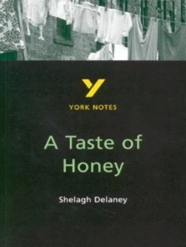 Image of A Taste of Honey Shelagh Delaney by Bernadette Dyer Paperback