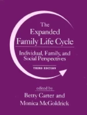 Image of expanded family life cycle individual family and social perspectives