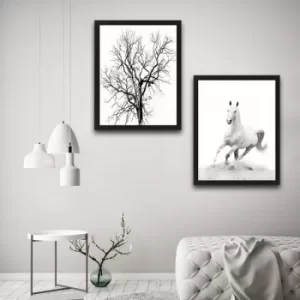 image of White Horse Set Multicolor Decorative Framed Painting (2 Pieces)