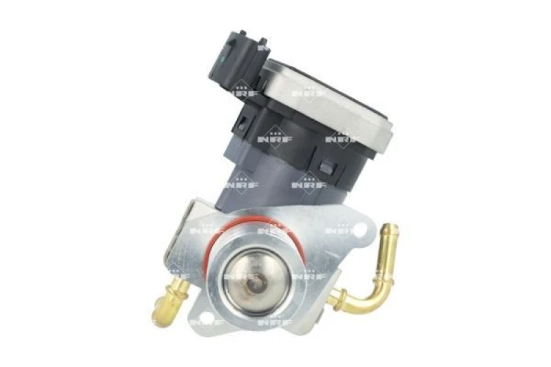 Image of NRF 48731 EGR valve EASY FIT with gaskets/seals EGR Valve (1145)