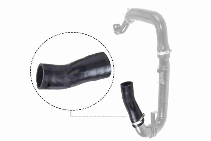 Image of Charger intake hose VAICO V24-0697