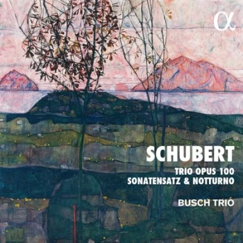 image of Schubert Trio Opus 100/Sonatensatz & Notturno by Franz Schubert CD Album