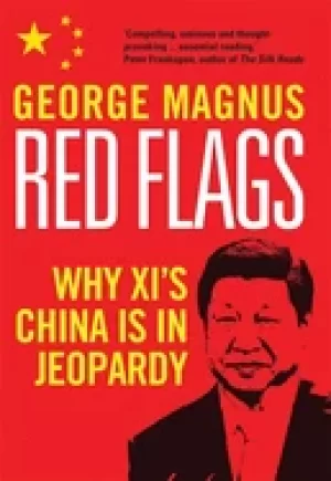 Image of red flags why xis china is in jeopardy