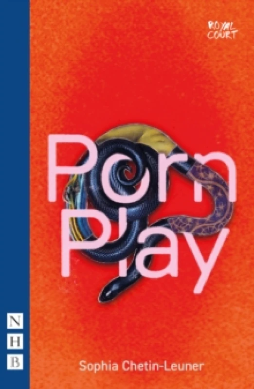 Image of Porn Play Paperback / softback