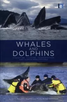 Image of Whales and Dolphins : Cognition, Culture, Conservation and Human Perceptions