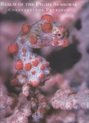 Image of Realm of the pygmy seahouse by Constantinos Petrinos
