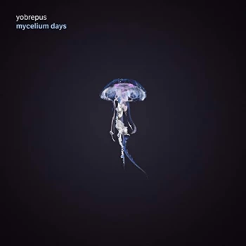 Image of Yobrepus - Mycelium Days CD