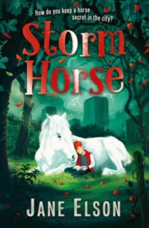 Image of Jane Elson Storm Horse Book Multi unisex