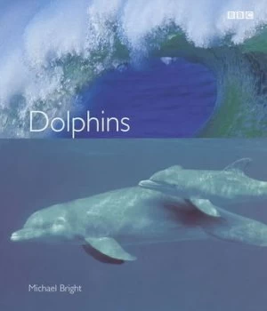 Image of Dolphins by Michael Bright Book