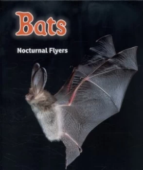 Image of Bats by Rebecca Rissman Hardback