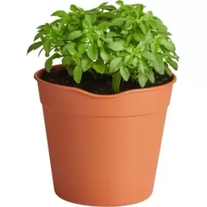 image of Easy Release 15cm Plant Pots & Saucers x 10 - Terracotta - Clever Pots