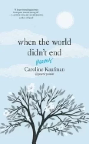 Image of when the world didnt end poems