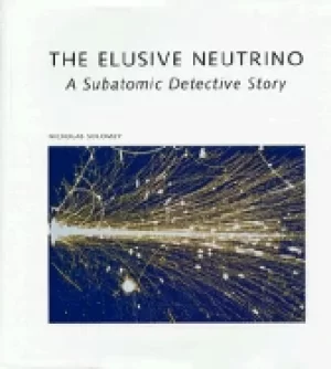 Image of elusive neutrino a subatomic detective story