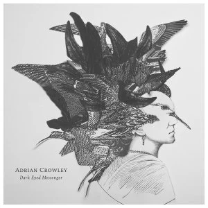 Image of Adrian Crowley - Dark Eyed Messenger Vinyl